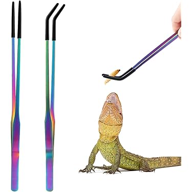 Baignoire pliable pour dragon barbu avec 2PCS brosse de bain pour reptile et 1PC Baignoire pliable pour dragon barbu avec 2PCS brosse de bain pour reptile et 1PC