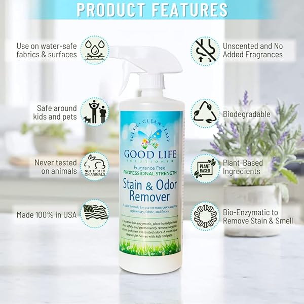 GOOD LIFE SOLUTIONS NATURAL ODOR AND STAIN REMOVER SPRAY – UNSCENTED PLANT-BASED CHILD & PET SAFE CLEANER EARTH-FRIENDLY ODOR ELIMINATOR ECO CLEANING PRODUCTS FOR HOME, CARPET (1 PACK, 1 GALLON)