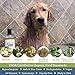 4-Legger Certified Organic Dog Shampoo - All Natural and Hypoallergenic with Aloe and Lemongrass, Soothing for Normal, Dry, Itchy or Allergy Sensitive Skin - Biodegradable - Made in USA - 16 oz