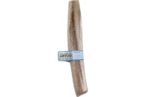 PRAIRIE DOG PET PRODUCTS Prairie Dog Antlers | North American Split Elk Antler | SMALL | Naturally Shed | Hand Harvested | Nutrient Rich | 4-5.5 inches long