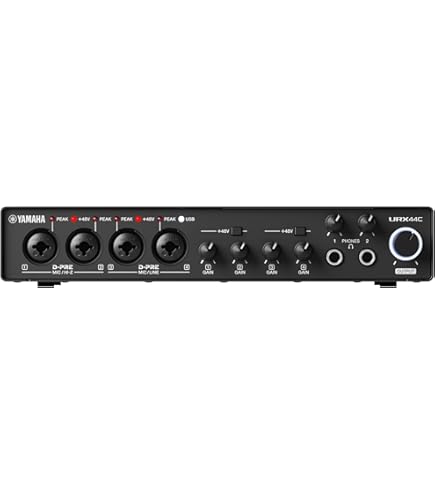 Amazon.com: Steinberg UR24C 2x4 USB 3.0 Audio Interface with