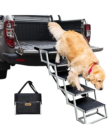 steps for large dogs