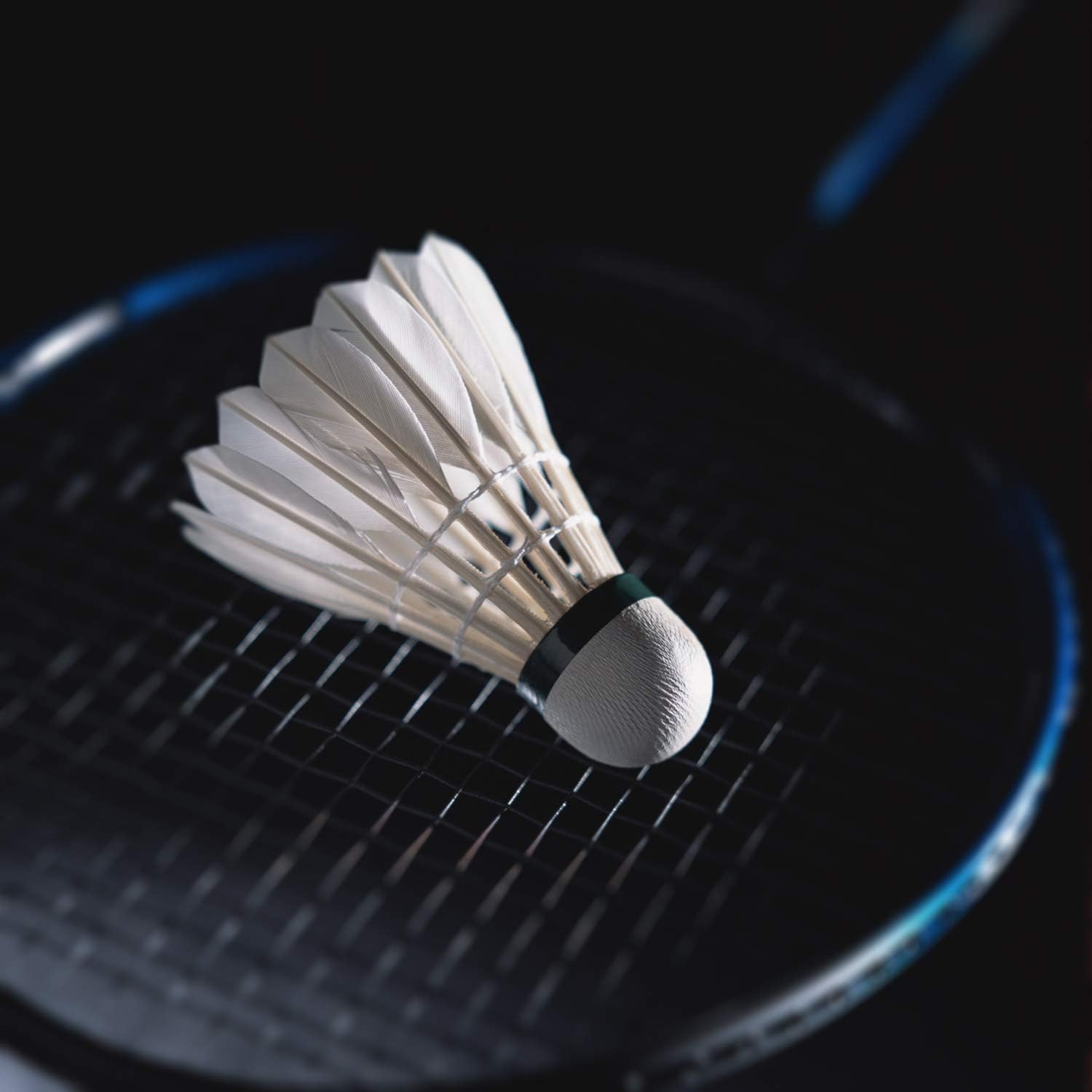KEVENZ Goose Feather Badminton Shuttlecocks with Great Stability and Durability, High Speed Badminton Birdies-12PK (White) : Sports & Outdoors