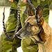 Pettom Military Tactical Dog Leash Short Nylon Bungee Traffic Quick Release Lead Rope with Control Handle for Large Dogs Hunting Training Jogging(Black)