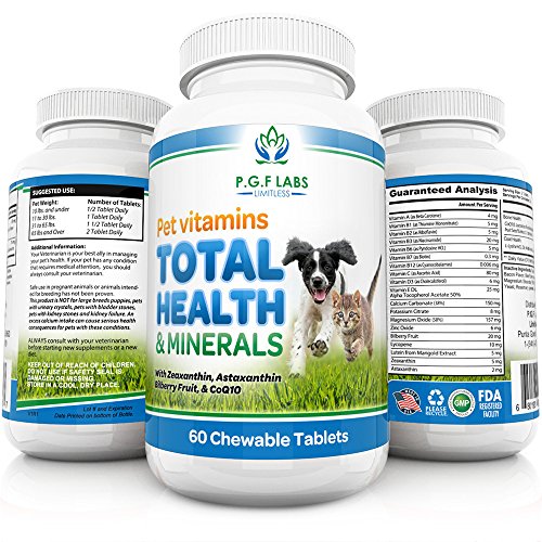 Top 6 best limitless vitamin 2019 All Next