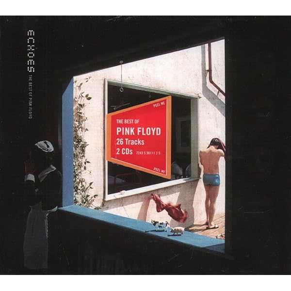 The Later Years 1987-2019: Pink Floyd: Amazon.ca: Music