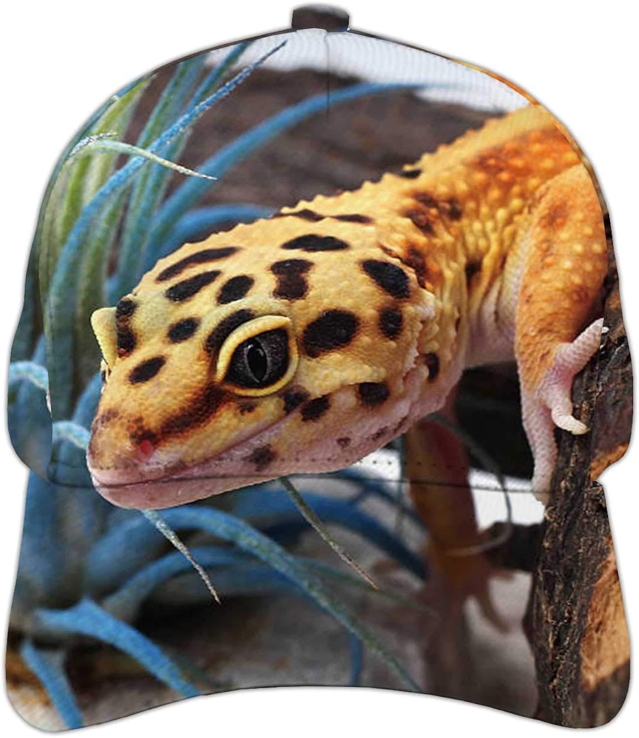 Gecko Eublepharis macularius Leopard Gecko, Adjustable Snapback Hat for