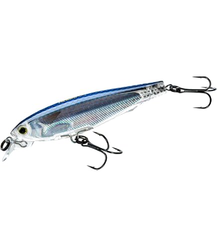 Amazon.com: Yo-Zuri 3DS Series Minnow Ripbait, 4