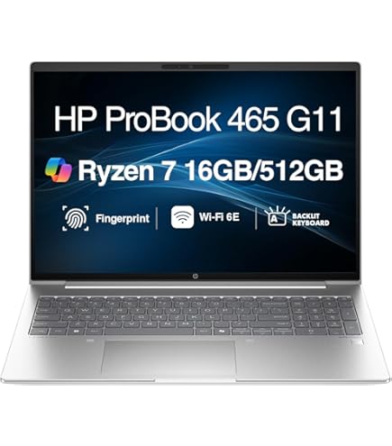 Amazon.com: HP ProBook 445 G11 14