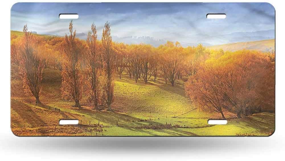 dsdsgog Novelty Home Autumn,Sunrise Forest New Zealand 12x6 inches,License Tag Plate