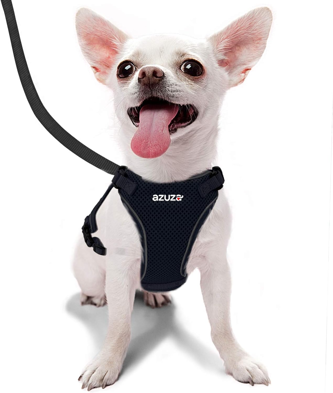 comfortable dog harness for small dogs