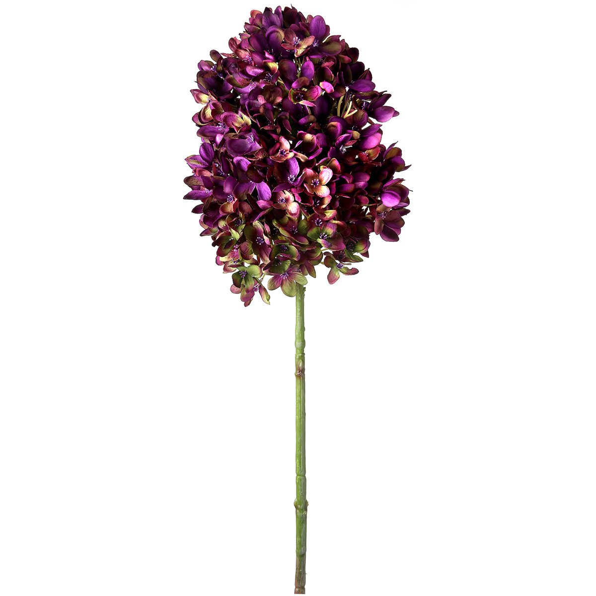 Amazoncom Regency Int Snowcone Hydrangea 22 Aubergine Kitchen