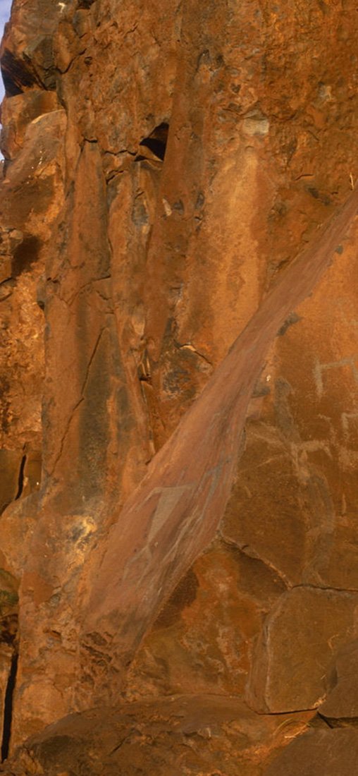 PeelitStickit, Beautiful Nature Wall Murals, ID-1273, vinyl