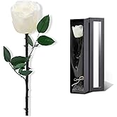 White Flowers for Delivery Prime, Preserved White Roses Flower Gifts for Women, Real Roses Single Rose Gifts for Her, Mom Birthday Gifts from Daughter, Valentines Flowers