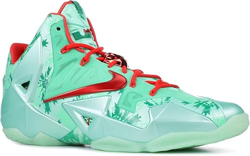 lebron james 11 shoes