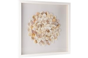 JHUMEG Baroque Style Artwork Paintings,Shell Canvas Art Wall Decor,Modern Wall Art Prints,Large Ocean Shadow Box With Framed,3D Wall Decor For Bedroom Aesthetic,Textured Living Room Bathroom