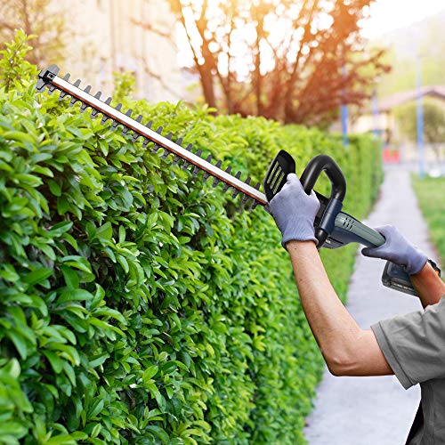 BLUE RIDGE BR8260U Cordless Hedge Trimmer, with Battery and Charger,40V 2.0Ah 24 Inch Blade Length, 3/4-Inch Cutting Thickness, Dual Action Laser Blade - Thumbnail 6