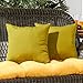 Greendale Home Fashions Outdoor Accent Pillows, Kiwi, Set of 2
