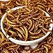 Gardenpt 10 OZ Natural Dried Mealworms for Wild Birds, Chicken, Duck, etc