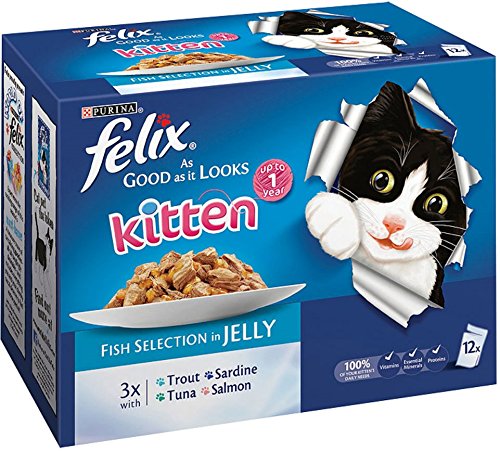 Felix Good As It Looks Kitten Fish Selection in Jelly 12 x 100g (Bulk deal of 4) 4800g
