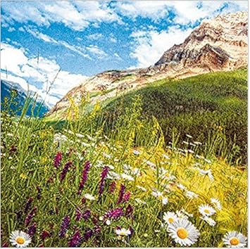 20 Servietten Berge Alpen Bayern 33 X 33cm Amazon De Drogerie Korperpflege