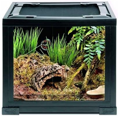 Komodo Leopard Gecko Starter Set Amazon Co Uk Garden Outdoors