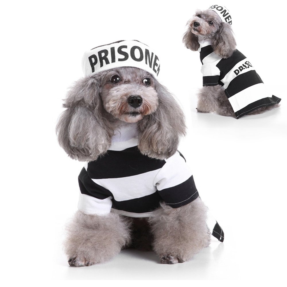prison dog costume