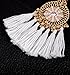 Tassel Earrings for Women HSWE Fringe Earrings Thread Dangle Earrings(White)