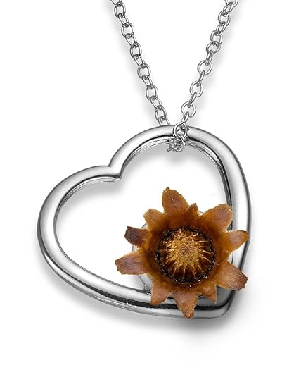 Plaqué Argent Amour éternel Collier Rose De Bethléem La