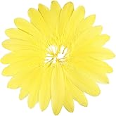 FeelfunFeather 120pcs Yellow Goose Feathers 6-8 Inch 15-20cm Decorative Natural Goose Nagoire Feather Bulk for DIY Crafts Cosplay Wedding Party Christmas Halloween Home Decoration