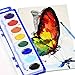 Bulk Water Color Paint Party Pack - Jumbo Set of 38 - Oval