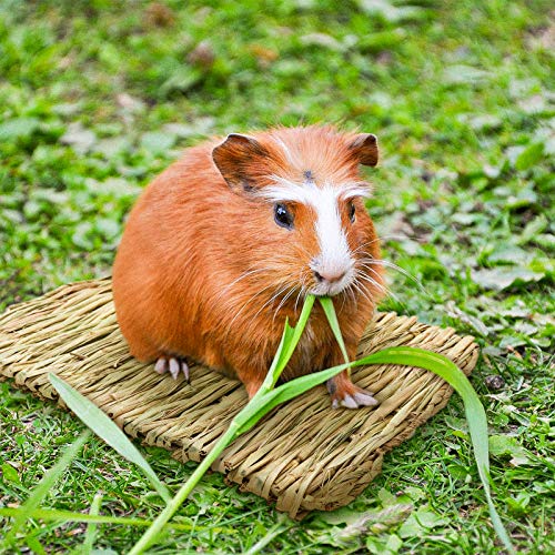 Portable Grass Bed with Grass Balls, Natural Straw Woven Grass Bed Sleeping Pad Bunny Chew Toys Hay Mat for Rabbit Hamster Gerbil Chinchilla Guinea Pig Mice Other Small Animals (Set 1)