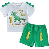 Fernvia Toddler Baby Boy Birthday Outfit 1st-5th Kids Shirt Tops + Shorts Set Dinosaur B-Day Party Summer Clothes