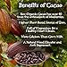 Raw Organic Heirloom Cacao Beans 16oz, The Raw Food World