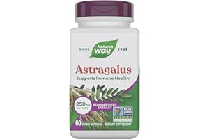 Nature's Way Astragalus Premium Extract, Supports Immune Health*, 250 mg Extract per Serving, Non-GMO Project Verified, 60 Vegan Capsules (Packaging May Vary)