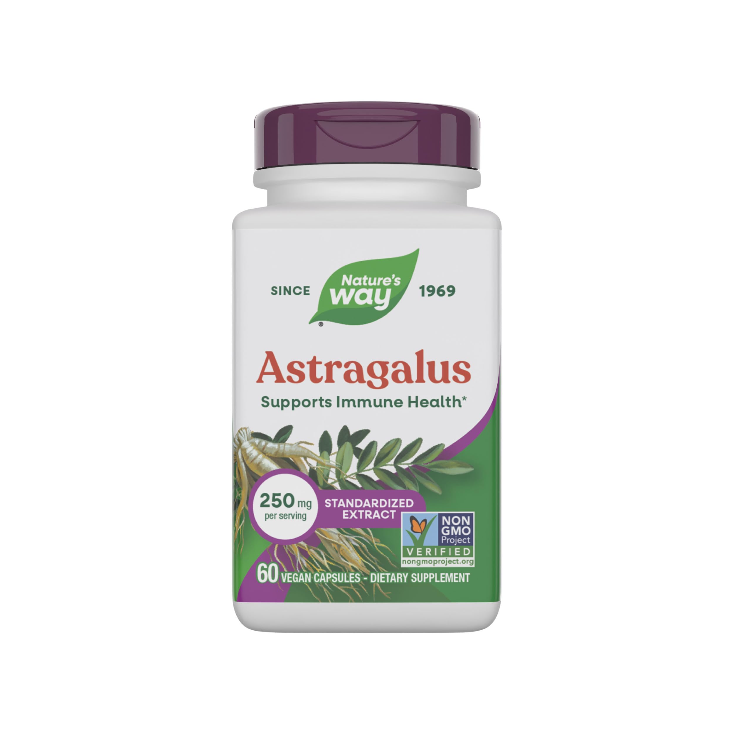 Astragalus