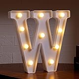 DyingSwan Small Led Marquee Letters, Light Up
