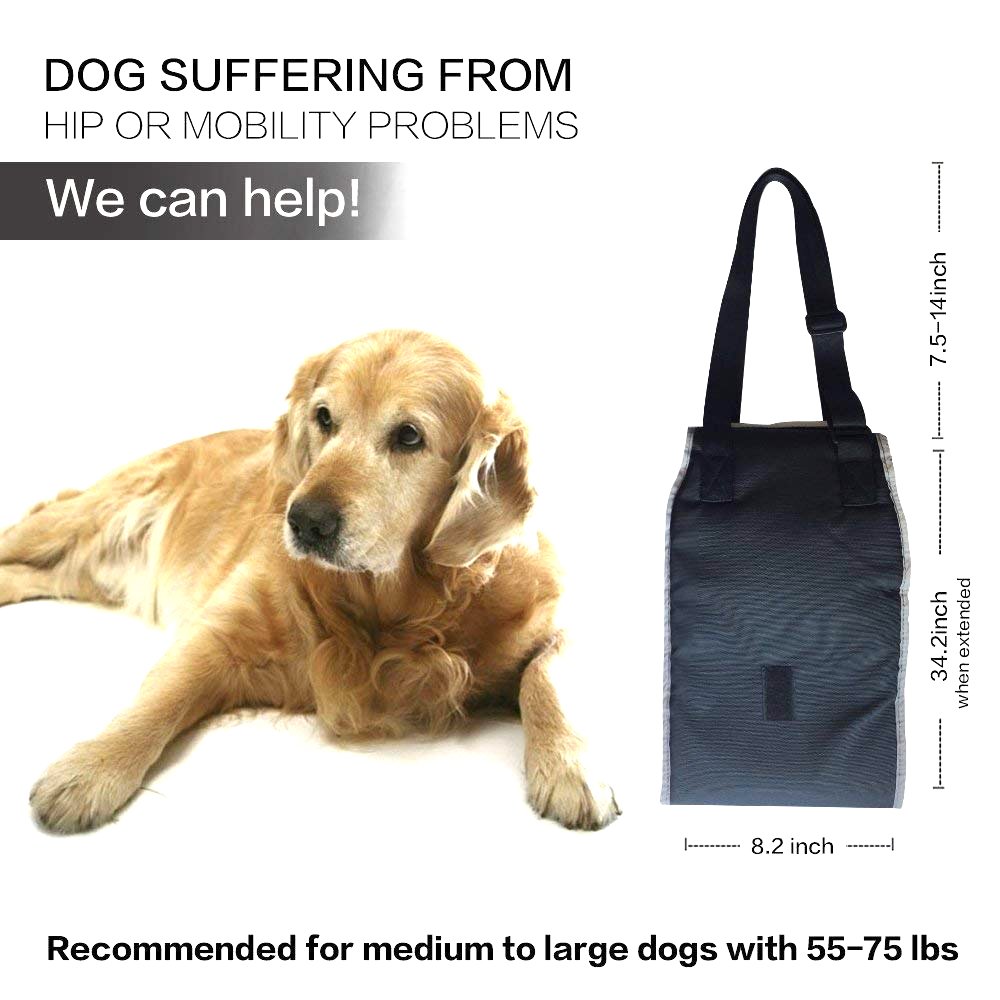 Roadwi Dog Lift Support & Rehabilitation Harness, Oxford and Nylon Pad with Reflective Stitching, Ideal Assist Sling for Dogs Recovering, Recommended for 25-55lbs Dogs (Medium/Black)