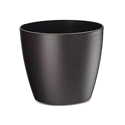 Crescent Too Eva Decorative Planter Modern