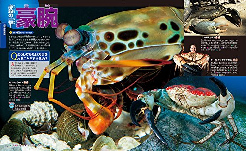 危険生物 講談社の動く図鑑move 講談社 小宮 輝之 本 通販 Amazon