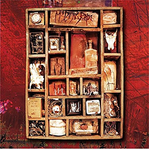 My Dying Bride - I Almost Loved You Lyrics - Zortam Music