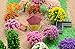 NW 100pcs 1.57inch Colorful Model Trees Model Train Scenery Architecture Trees Model Scenery No Stands（4cm）