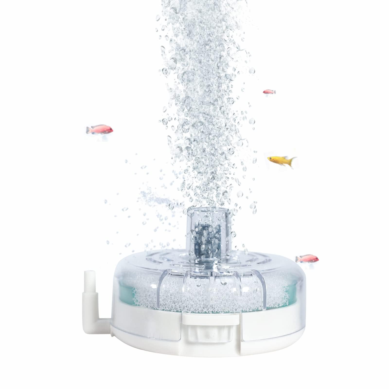 boxtech Mini Aquarium Sponge Filter，Internal Fish Tank Filter for 10-30L Fish Tank (No Include Pump and Tube)