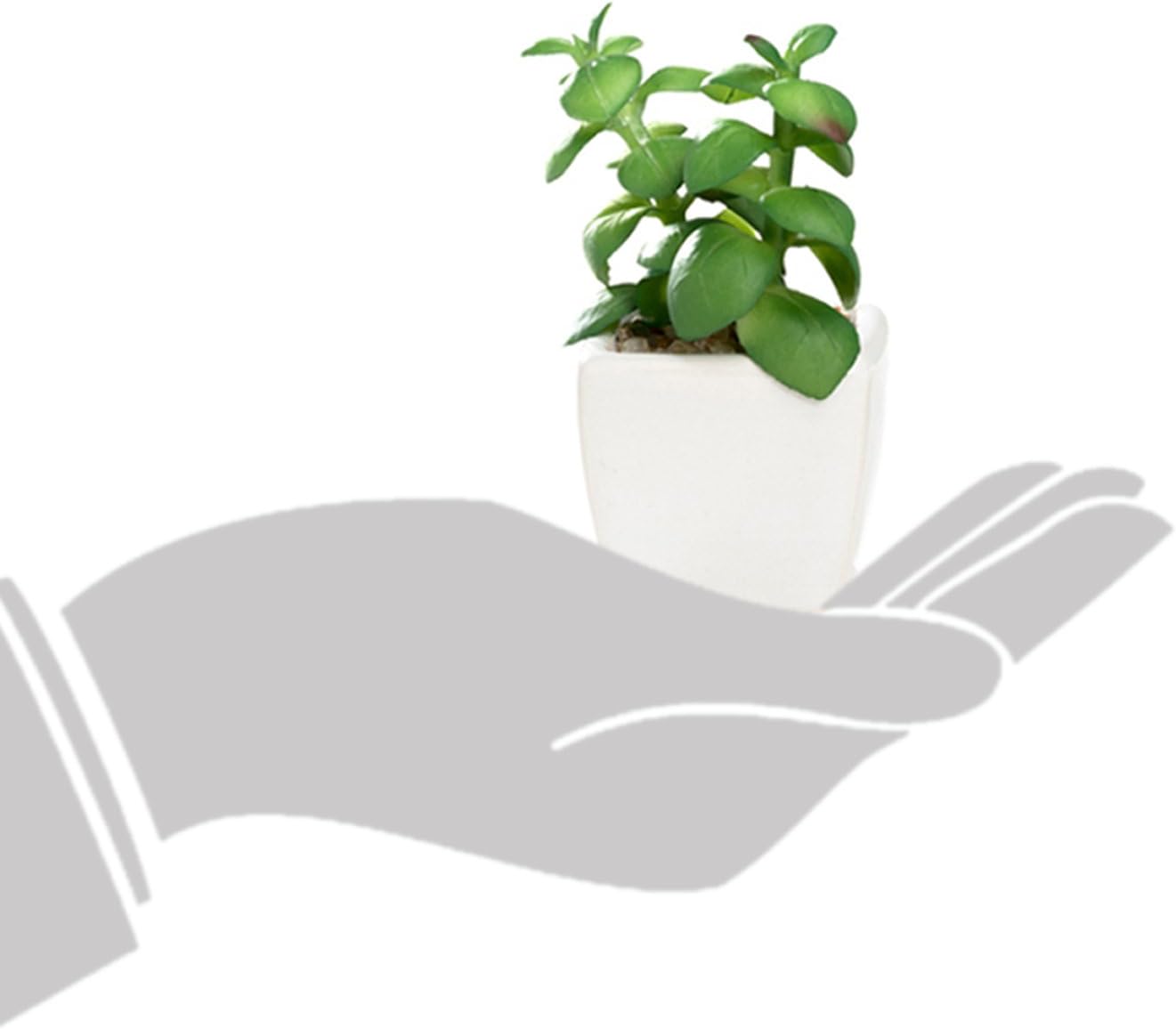 Nattol Small Artificial Succulent Plant Potted in White Ceramic Pots for Home Decor, Set of 4: Home & Kitchen