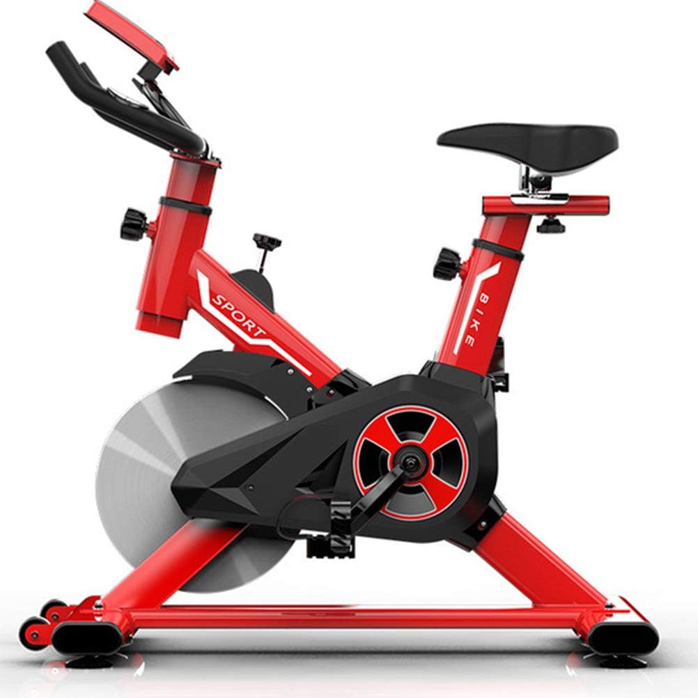 LDFANG Indoor Exercise Bike, Adjustable Handlebar and Seat, Function Monitor, Exercise Equipment, Cardio Trainer