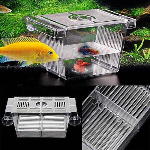 5 Aquarium+Hatchery+Isolation+Incubator+Accessory