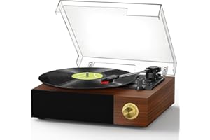 FYDEE Record Player, Vinyl Record Player with Built-in Speakers and Bluetooth Input - 3 Speeds (33/45/78 RPM), RCA Output for