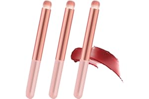 BANIDY Lip Brush Lip Smudge Brushes Lipstick Brush with Tubes 3PCS Lip Gloss Applicator Wands Lip Brushes Multi-purpose Lip Makeup Brush Eyeshadow Brush Concealer Brush Lip Gloss Wands Applicator Tool Kits
