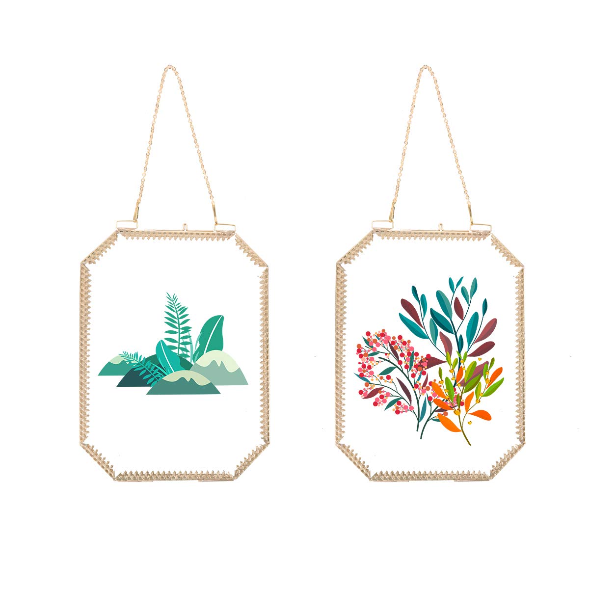 C&Z 2pcs 6x8 Gold wall Hanging Floating Picture Frames Octagon Brass Double Sided Glass Frame for Pressed Flowers Herbarium Dried Leaf Artwork Plants Specimen Clips free Metal Chain