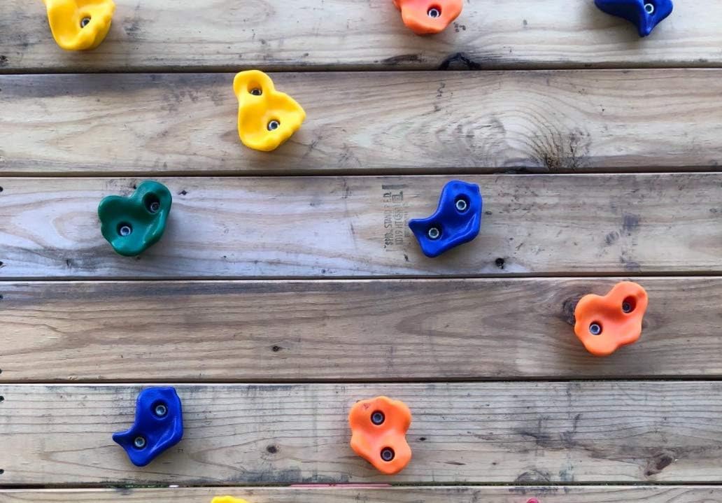 Climbing holds. Climbing holds